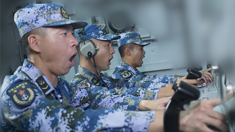 海軍?？谂炇抗偃后w：挺進(jìn)深藍(lán)的“定海神針”