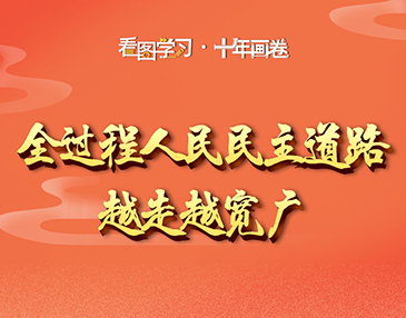 看圖學(xué)習(xí)·十年畫卷丨全過(guò)程人民民主道路越走越寬廣