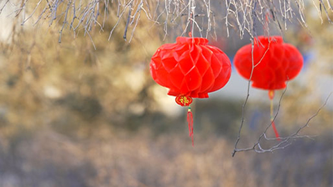 新春走軍營(yíng) | 爸媽，我在這里挺好的