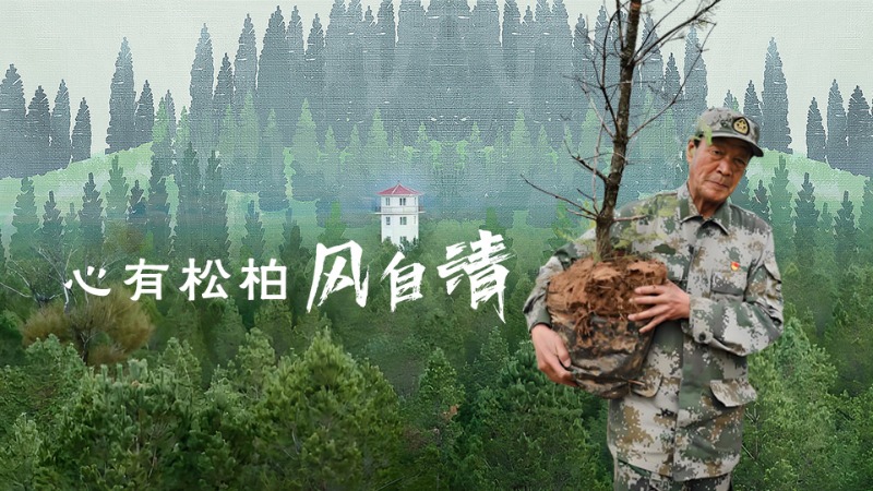 有聲海報丨不忘清風來時路——青山寫忠誠的張連印